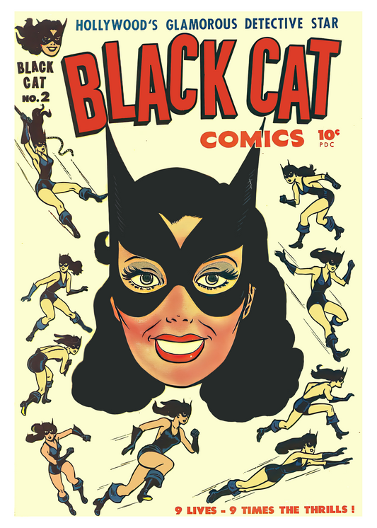 #895 Black Cat