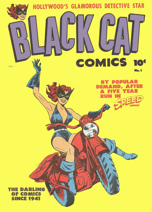 #899 Black Cat II