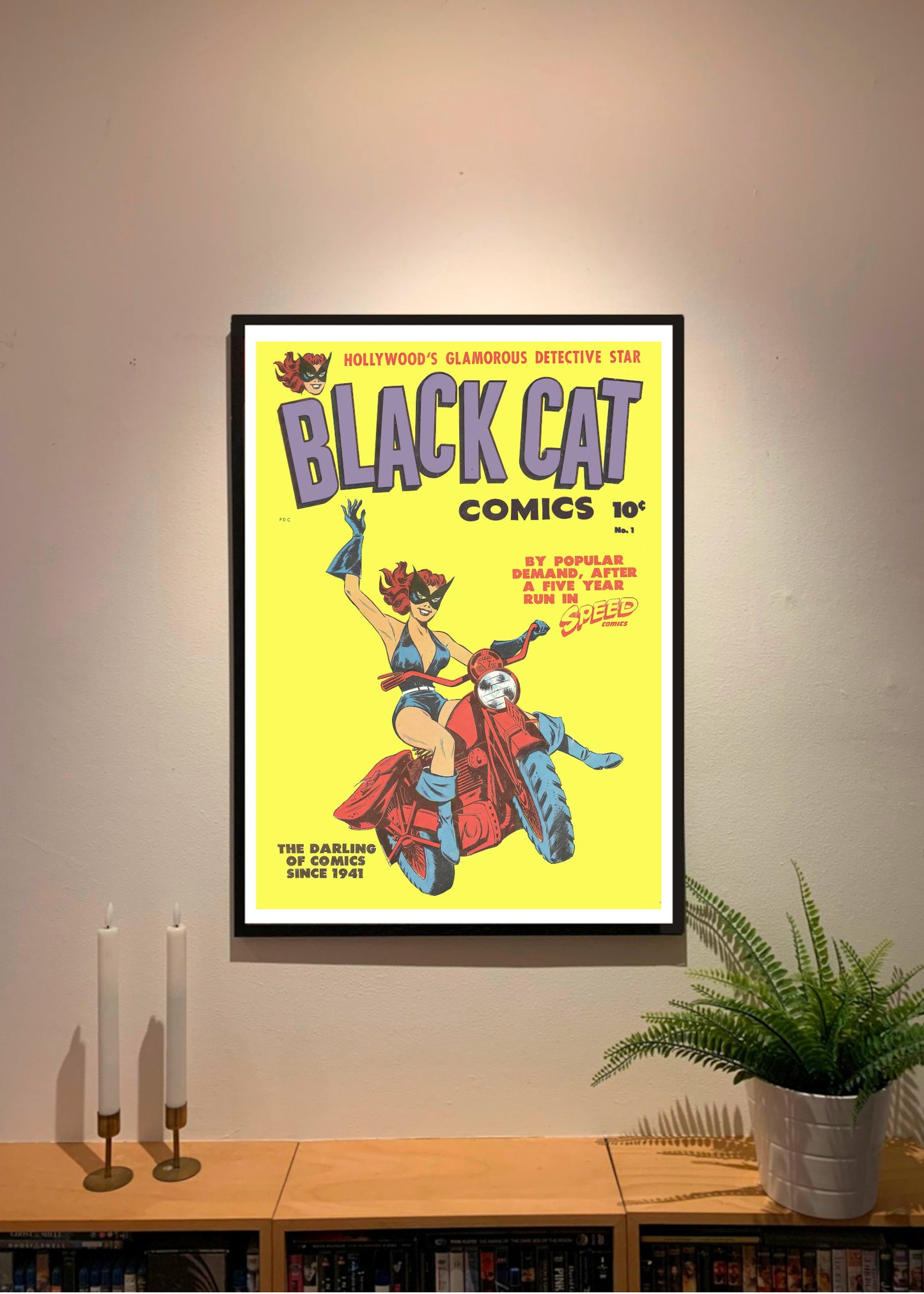#899 Black Cat II